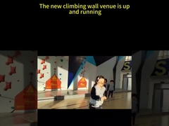 맞춤형 야외 등산 벽 놀이 공원을위한 높은 안전